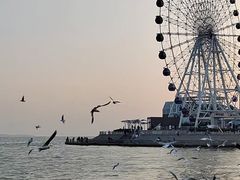 -琴岛之星摩天轮