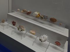 -贝壳王国博物馆