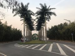 -西安国际创新人才交流中心•药浴温泉