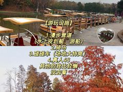 -上海海湾国家森林公园