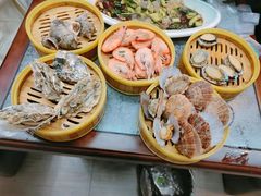 -渡海小渔村.老辈日照菜