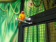 -海合安武汉极地海洋公园