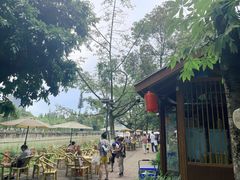 -成都市活水公园