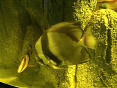 -福州罗源湾海洋世界旅游区