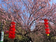 -南京珍珠泉风景区