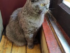 -Rabbit Cafe私房西餐甜点咖啡(栖霞路店)