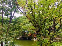 -参仙谷生态旅游度假区