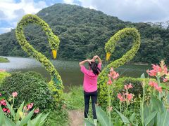 -广州市石门国家森林公园