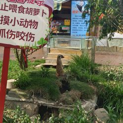 -三分地生态园·儿童乐园