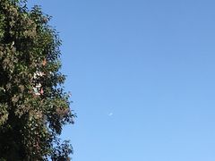 -雕刻时光咖啡馆(交大店)