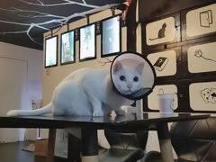 -Doors独立剧情密室(东门分店)