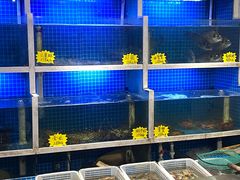 -潮人姐妹轩(海宁路店)