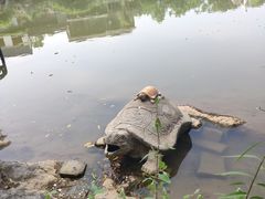 -陶祖圣境风景区