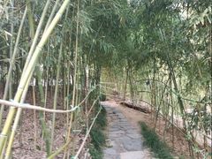 -竹子庵公园