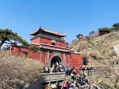 -泰山风景名胜区