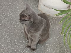 -共舞时光猫咖·狗咖(新街口店)