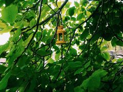 景观位-EATALIA意塔利意式餐厅(鼓楼店)