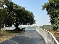 -海珠湖公园