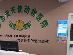 -天使宠物医院·犬猫分诊(彩虹店)