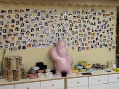 -猫十亿·布偶金渐层·曼基康矮脚猫舍(青年路店)