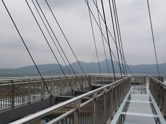 -安徽大青山野生动物世界
