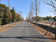 -嘉北郊野公园