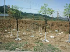 -山西通天峡景区