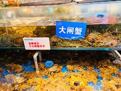 -亚马逊蒸汽活海鲜自助(LCM置汇旭辉广场店)