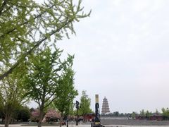 -大雁塔北广场音乐喷泉