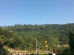 -火炉山森林公园