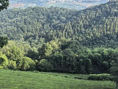 -敬亭山风景名胜区