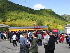 -长白岛森林公园