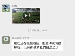 -趣玩宠物乐园寄养训犬训狗游泳池