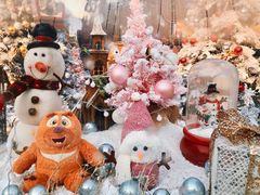 -青岛方特梦幻王国