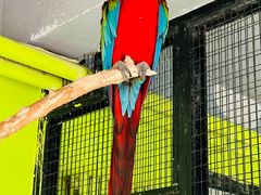 -北京野生动物园