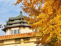 -中国农业博物馆