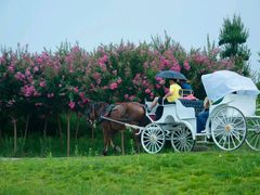 -武汉紫薇都市田园