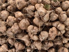 -南坛综合农贸市场