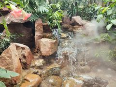 -石家庄市植物园