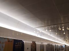 -1828王老吉·草本新茶(珠江新城地铁站店)