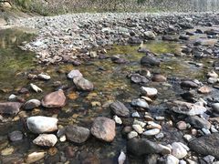 -老宁波1381餐厅(宏泰广场店)