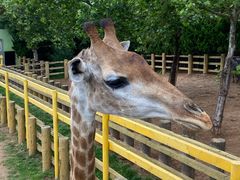 -西霞口神雕山野生动物世界