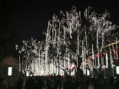 -大雁塔北广场音乐喷泉