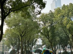 -重庆市江北嘴中央商务区中央公园