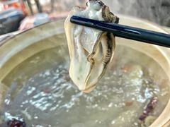 -濠轩阁特色生蚝火锅(水湾路店)