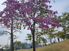 -白石龙音乐公园