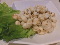 -百年果林椰子鸡(中洲店)