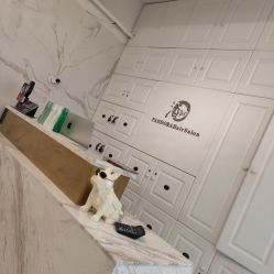 -潘多拉Hairsalon