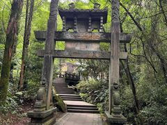 -凤栖山