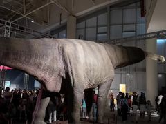 -广东科学中心科技影院